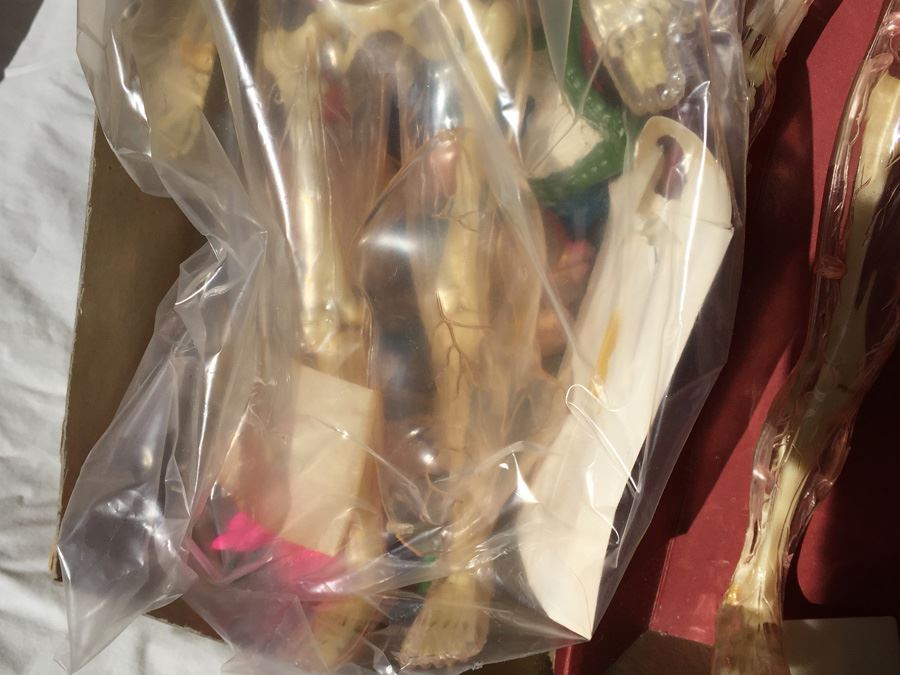 The Visible Man By Renwal In Box No. 800 :598 [Photo 16]