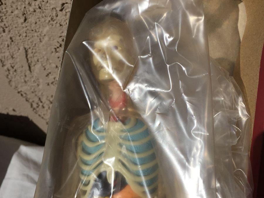 The Visible Man By Renwal In Box No. 800 :598 [Photo 10]