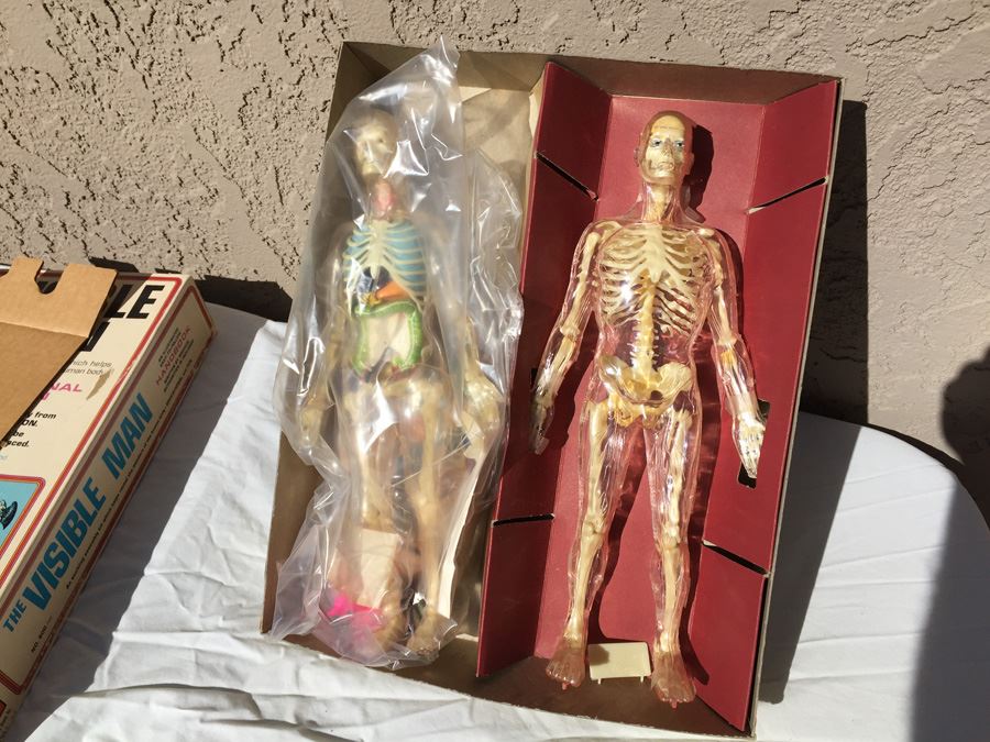 The Visible Man By Renwal In Box No. 800 :598 [Photo 2]