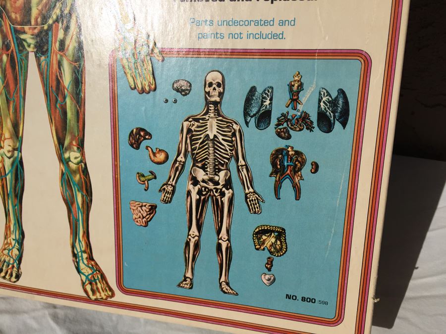 The Visible Man By Renwal In Box No. 800 :598 [Photo 7]