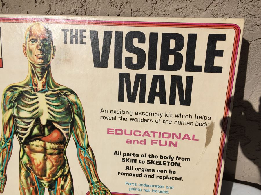 The Visible Man By Renwal In Box No. 800 :598 [Photo 5]