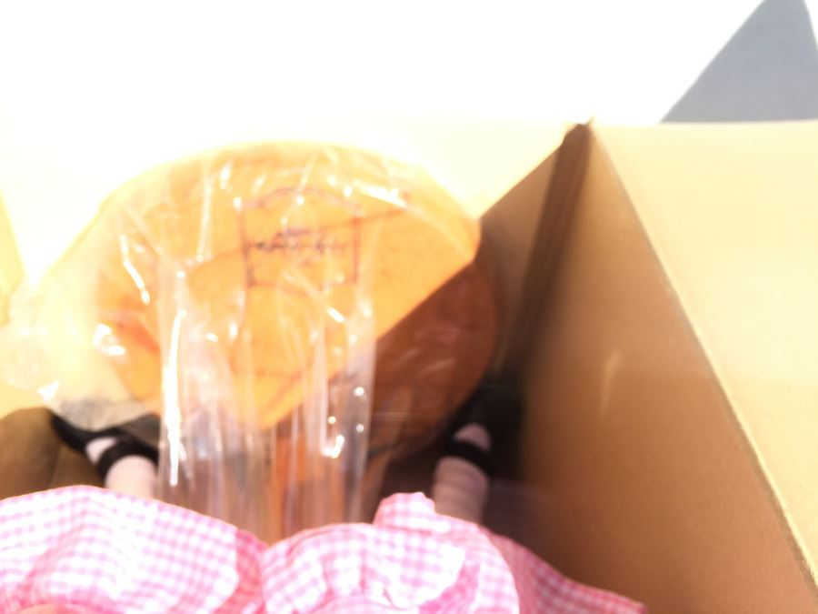 Raikes Originals Doll In Box Spring 1989 By Robert Raikes [Photo 4]