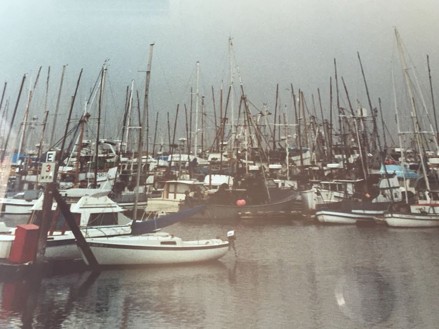 Pair Of Framed Vintage California Coastal Photographs [Photo 6]