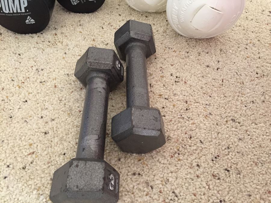 Exercise Lot With Sissel Abs Pro Ball, Free Weights And Books [Photo 3]