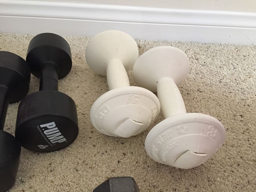 Exercise Lot With Sissel Abs Pro Ball, Free Weights And Books [Photo 5]