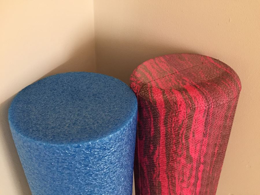 Exercise Lot With Sissel Abs Pro Ball, Free Weights And Books [Photo 6]