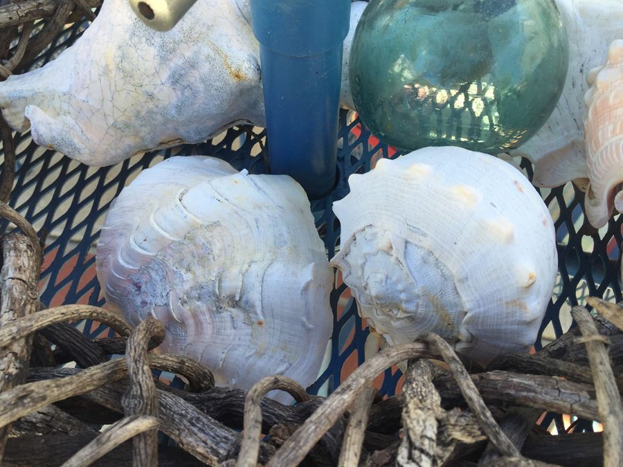 Decorative Lot With Woven Branch Wreath, Nautical Shells And Hand Blown Glass Floats (Japan) [Photo 7]