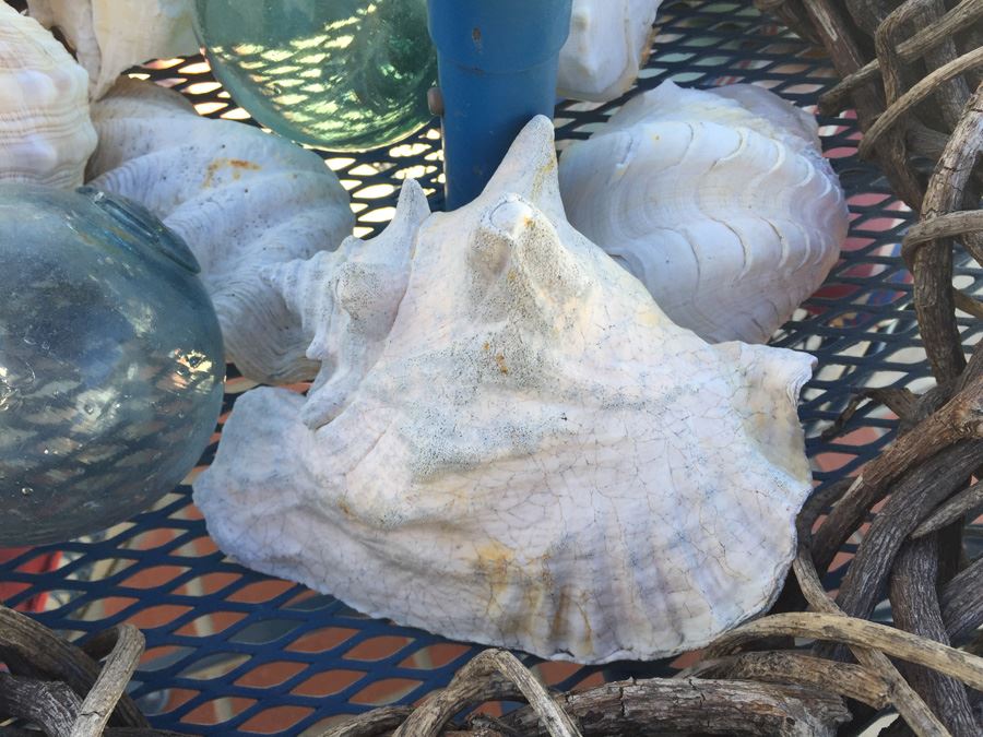 Decorative Lot With Woven Branch Wreath, Nautical Shells And Hand Blown Glass Floats (Japan) [Photo 3]