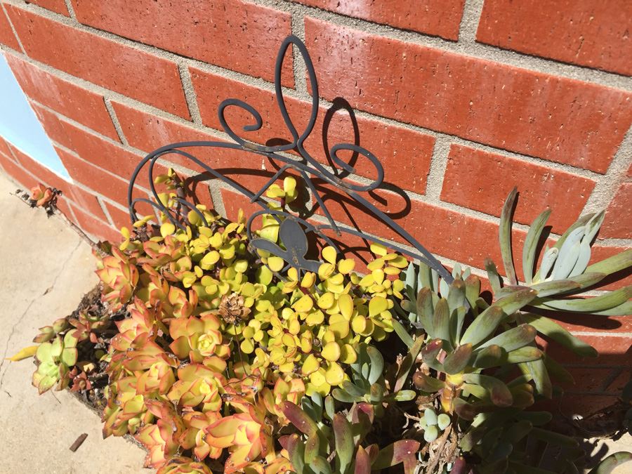 Planter With Succulents For Garden [Photo 5]