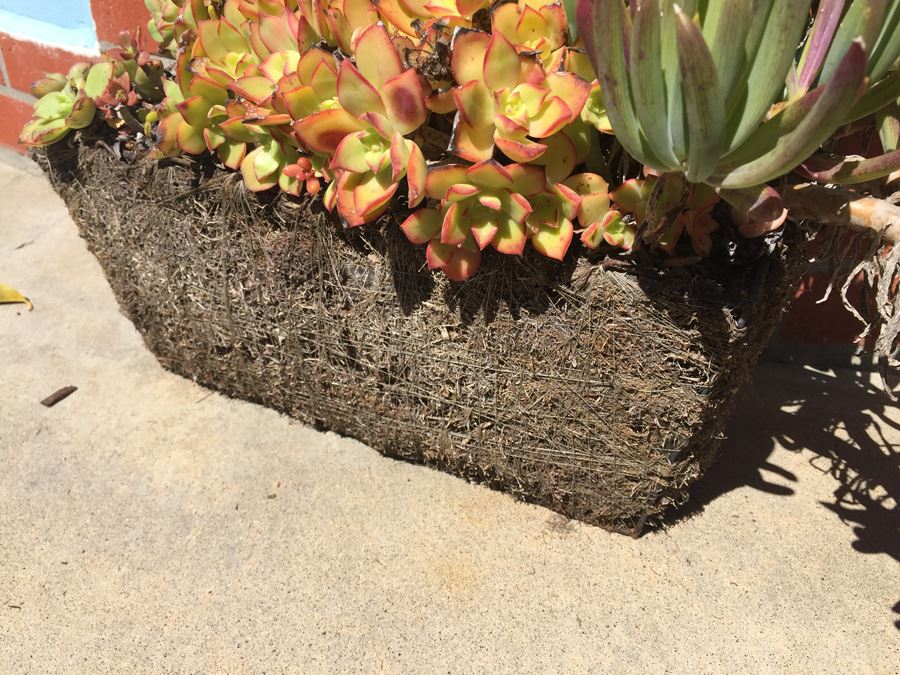 Planter With Succulents For Garden [Photo 6]