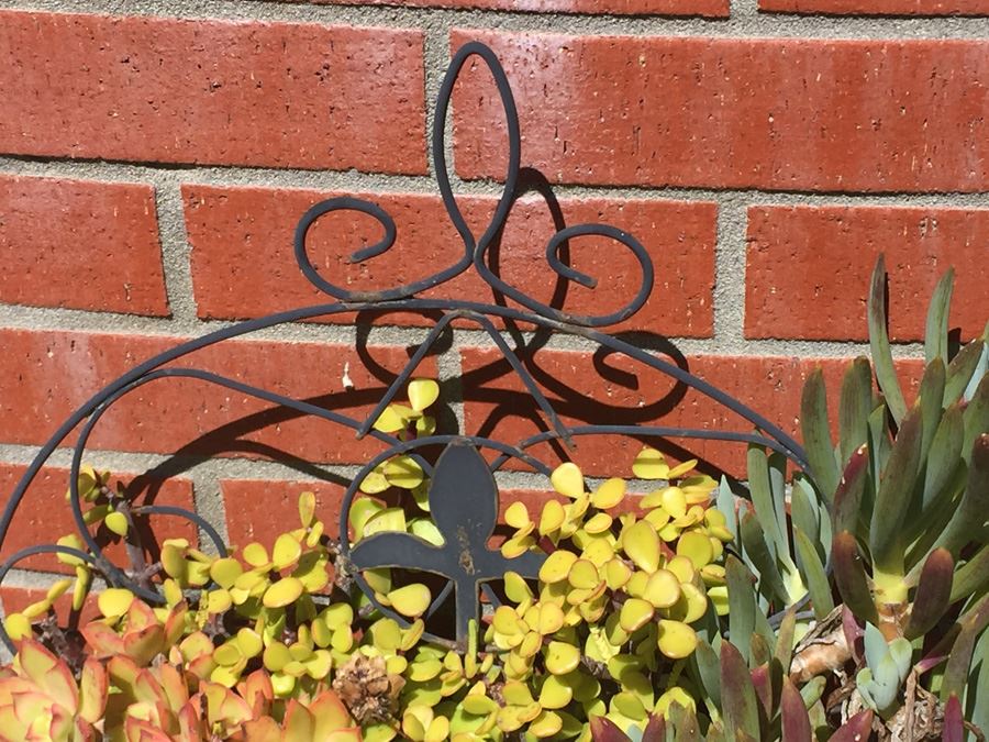 Planter With Succulents For Garden [Photo 3]