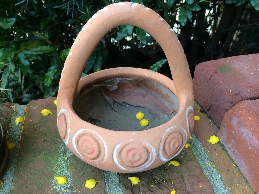 Succulent Plant Lot #1 [Photo 15]