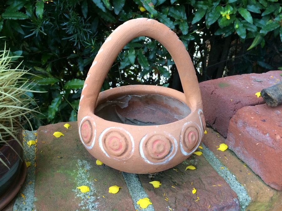 Succulent Plant Lot #1 [Photo 16]