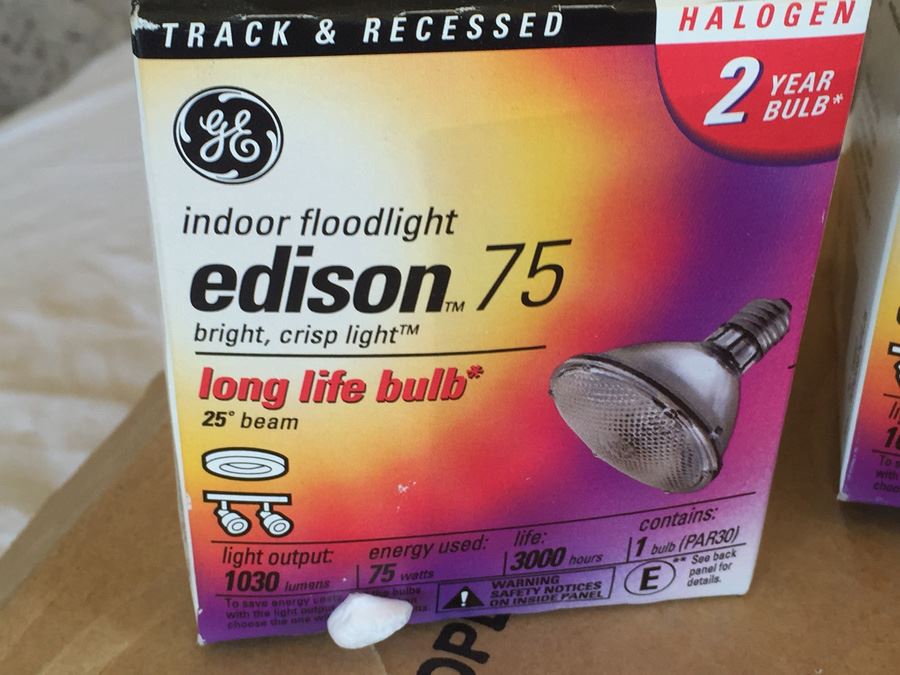 GE Edison 75 Indoor Floodlight (19 Bulbs) [Photo 2]