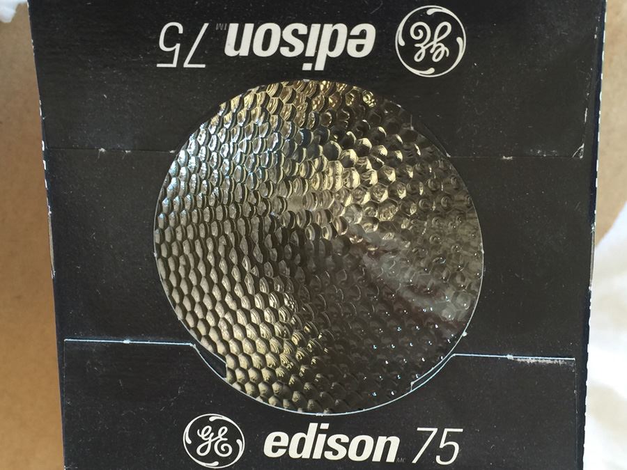 GE Edison 75 Indoor Floodlight (19 Bulbs) [Photo 4]