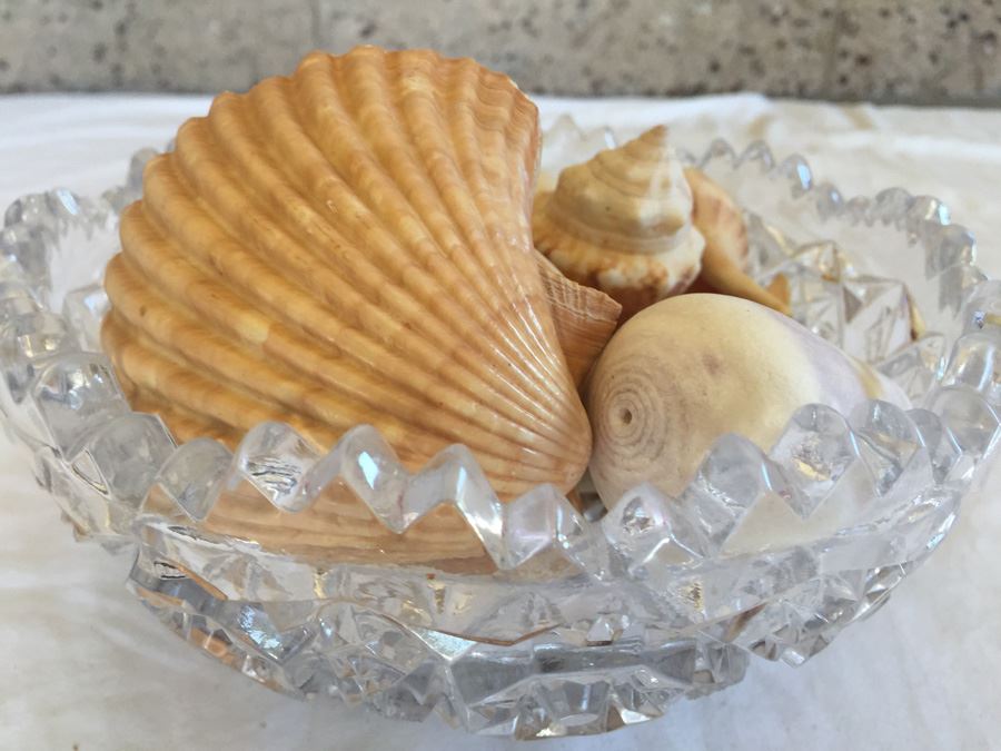 Crystal Bowl Filled With Shells [Photo 2]