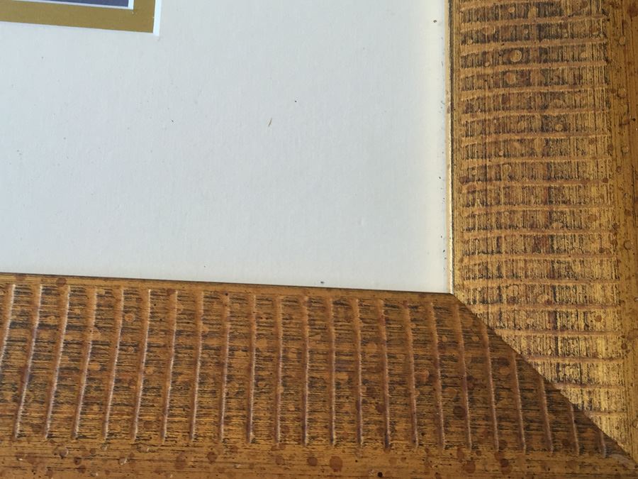 Original Framed Floral Pastel Artwork By Barbara J. Miller (San Diego Artist) [Photo 4]