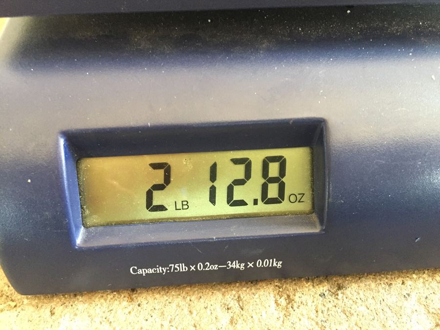 Stunning Nicely Carved JADE Chinese Elder Statue With Custom Carved Wooden Stand [Photo 3]