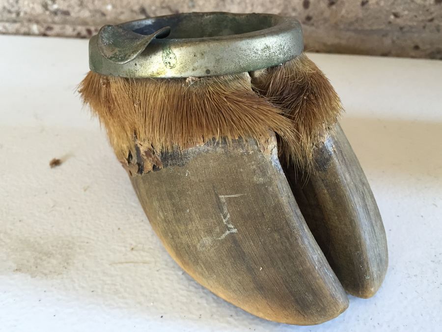 JUST ADDED - Interesting Vintage Hoof Taxidermy Ashtray Great Conversation Piece [Photo 2]