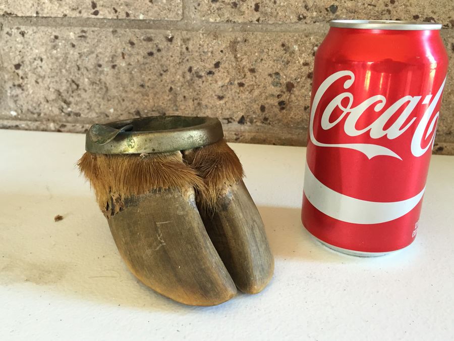 JUST ADDED - Interesting Vintage Hoof Taxidermy Ashtray Great Conversation Piece [Photo 1]