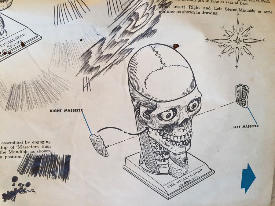 The Visible Head By Renwal Products With Illustrated Manuals 1961 [Photo 29]