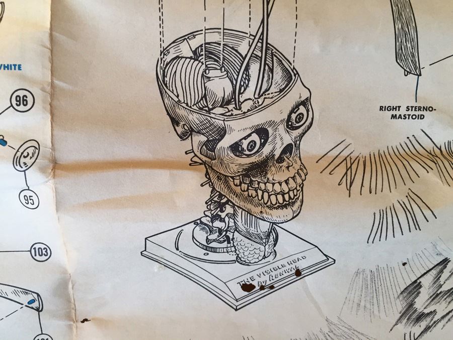 The Visible Head By Renwal Products With Illustrated Manuals 1961 [Photo 27]