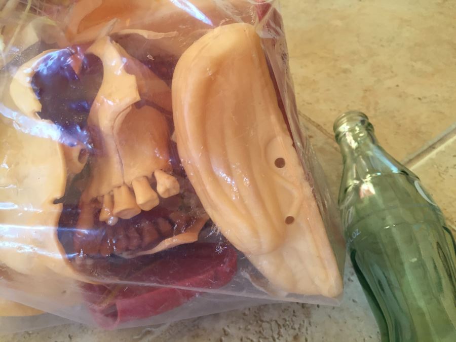 The Visible Head By Renwal Products With Illustrated Manuals 1961 [Photo 10]