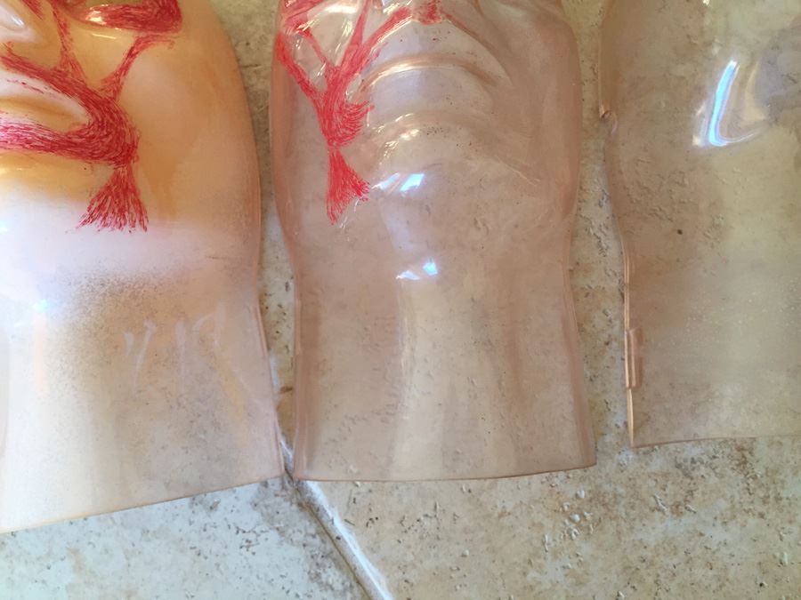 The Visible Head By Renwal Products With Illustrated Manuals 1961 [Photo 6]