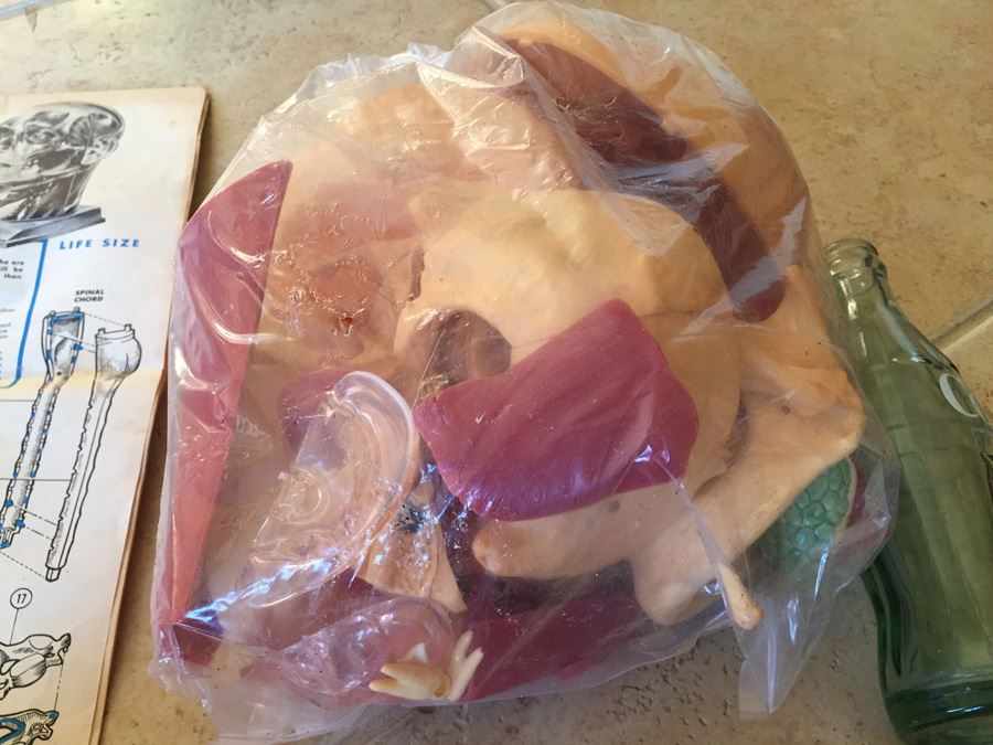 The Visible Head By Renwal Products With Illustrated Manuals 1961 [Photo 12]