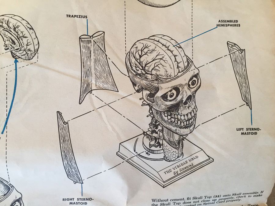 The Visible Head By Renwal Products With Illustrated Manuals 1961 [Photo 28]