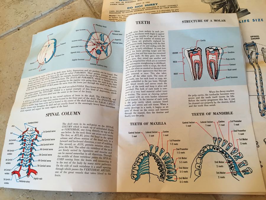 The Visible Head By Renwal Products With Illustrated Manuals 1961 [Photo 18]