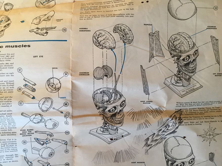 The Visible Head By Renwal Products With Illustrated Manuals 1961 [Photo 26]