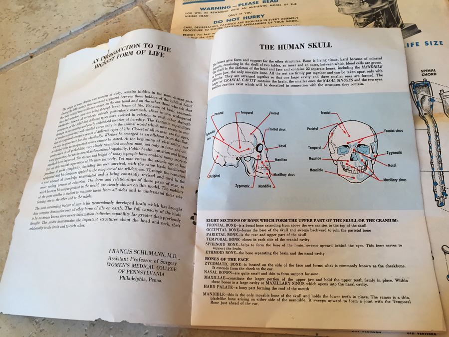 The Visible Head By Renwal Products With Illustrated Manuals 1961 [Photo 17]