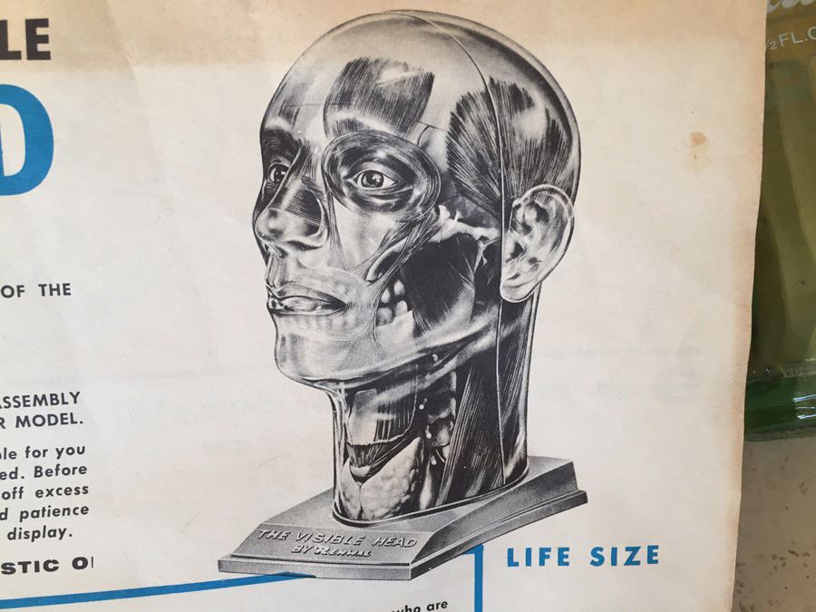 The Visible Head By Renwal Products With Illustrated Manuals 1961 [Photo 32]