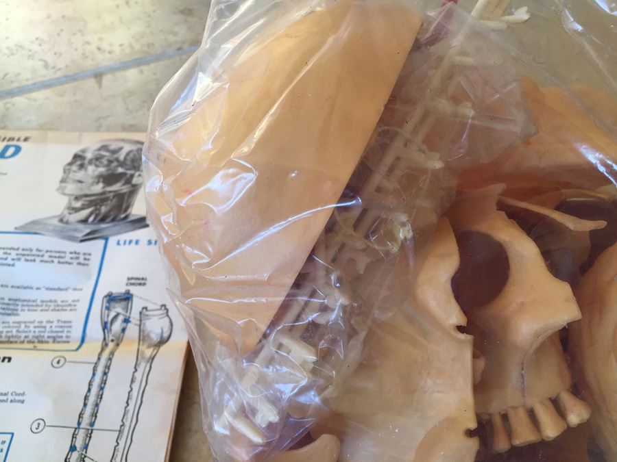 The Visible Head By Renwal Products With Illustrated Manuals 1961 [Photo 11]