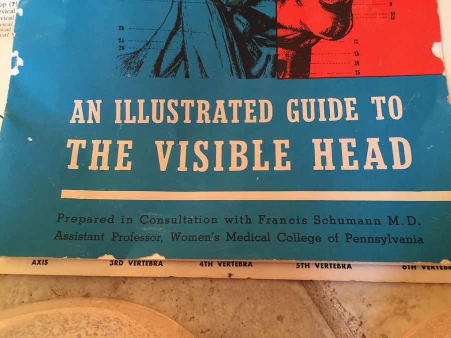 The Visible Head By Renwal Products With Illustrated Manuals 1961 [Photo 16]