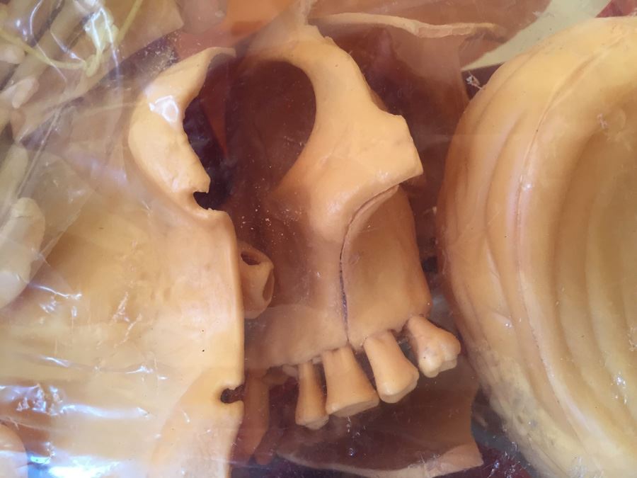 The Visible Head By Renwal Products With Illustrated Manuals 1961 [Photo 8]