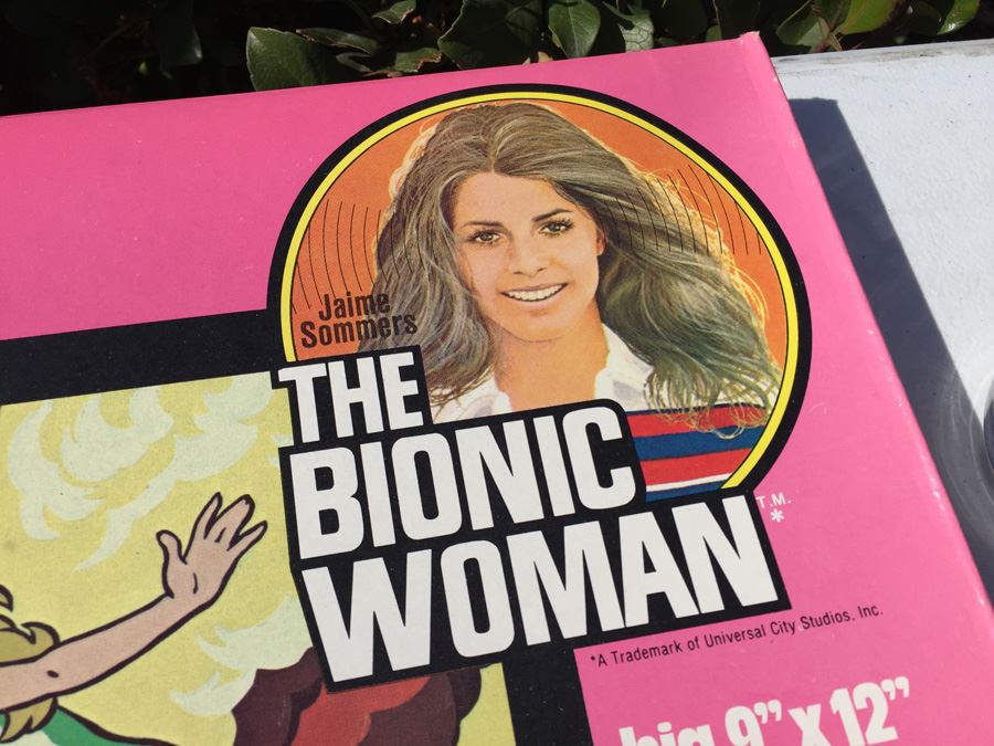 Complete Set Of Vintage The Bionic Woman Paint By Numbers New In Box [Photo 11]