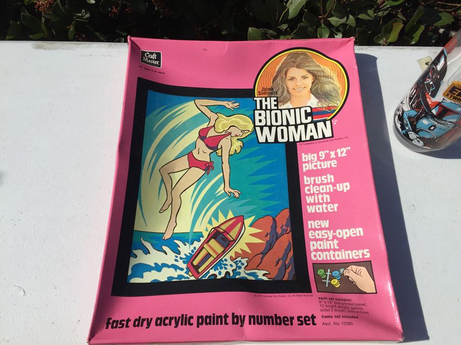 Complete Set Of Vintage The Bionic Woman Paint By Numbers New In Box [Photo 12]