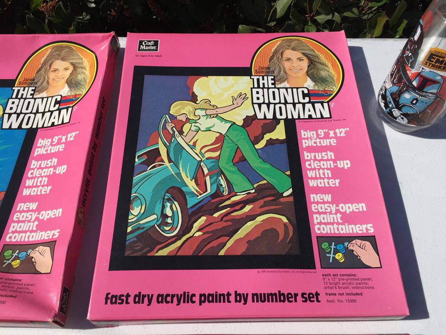 Complete Set Of Vintage The Bionic Woman Paint By Numbers New In Box [Photo 10]