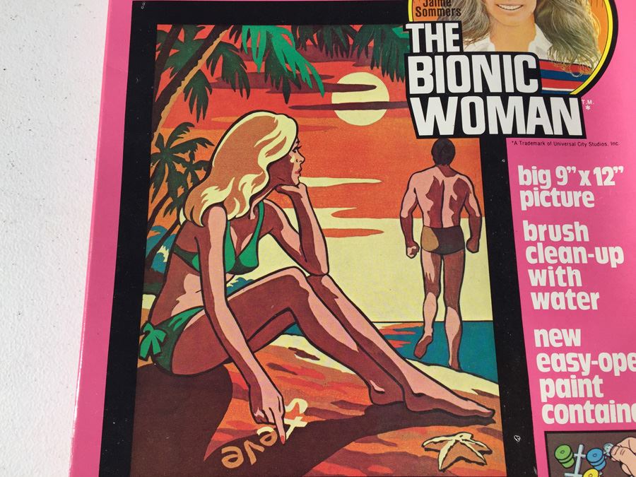 Complete Set Of Vintage The Bionic Woman Paint By Numbers New In Box [Photo 3]