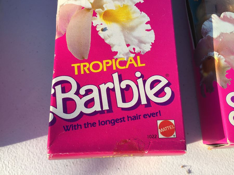 Tropical Barbie, Tropical Skipper And Tropical Miko New In Box Mattel 1985 [Photo 5]