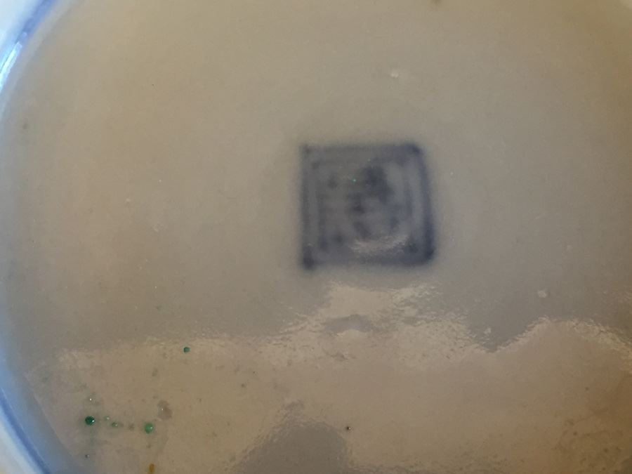 Japanese Imari Porcelain Dish [Photo 15]