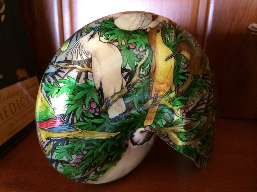 Hand Painted Nautilus Shell [Photo 3]