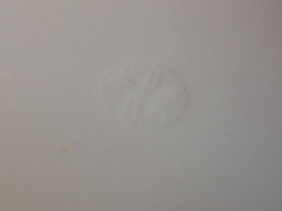 Japanese Imari Porcelain Footed Dish [Photo 19]