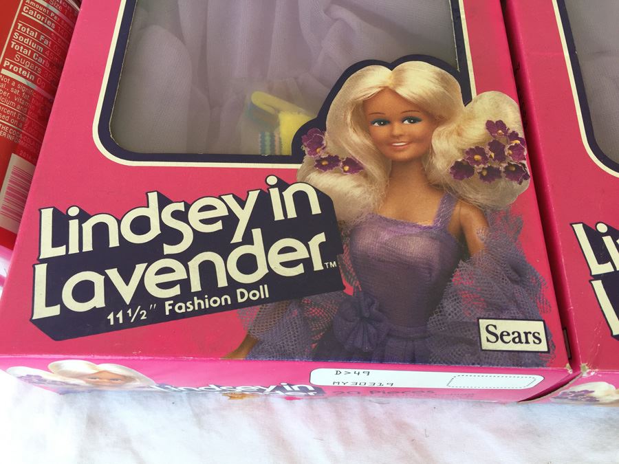 Lindsey In Lavender 11 1/2' Fashion Doll 20 Piece Action Doll Gift Set Sears New In Box [Photo 2]