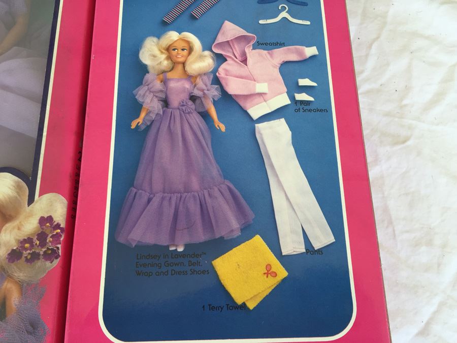 Lindsey In Lavender 11 1/2' Fashion Doll 20 Piece Action Doll Gift Set Sears New In Box [Photo 11]