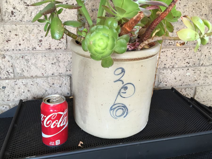 Vintage 2 Gallon Red Wing Crock Single 'P' With Succulents [Photo 6]