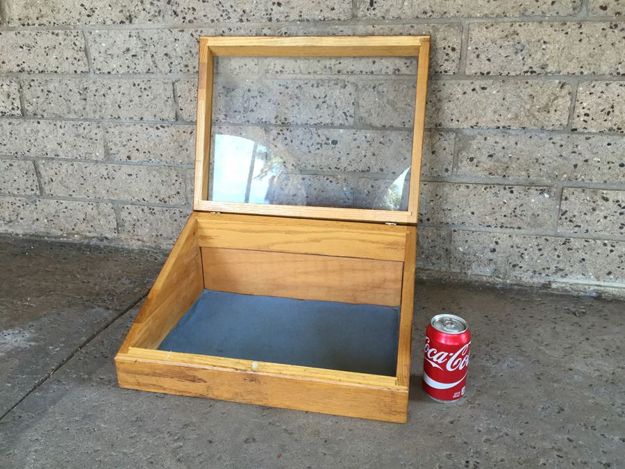 Vintage Table Top Slant-Top Display Case Marked Henry L. Hanson Co. Worcester, Mass. USA [Photo 9]