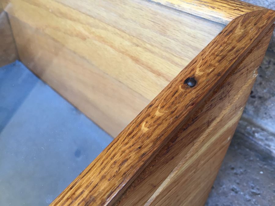 Vintage Table Top Slant-Top Display Case Marked Henry L. Hanson Co. Worcester, Mass. USA [Photo 5]